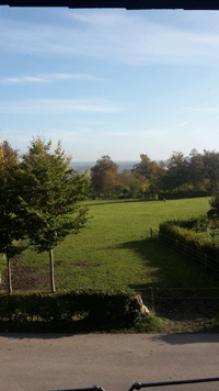 Aussicht aus der Ferienwohnung